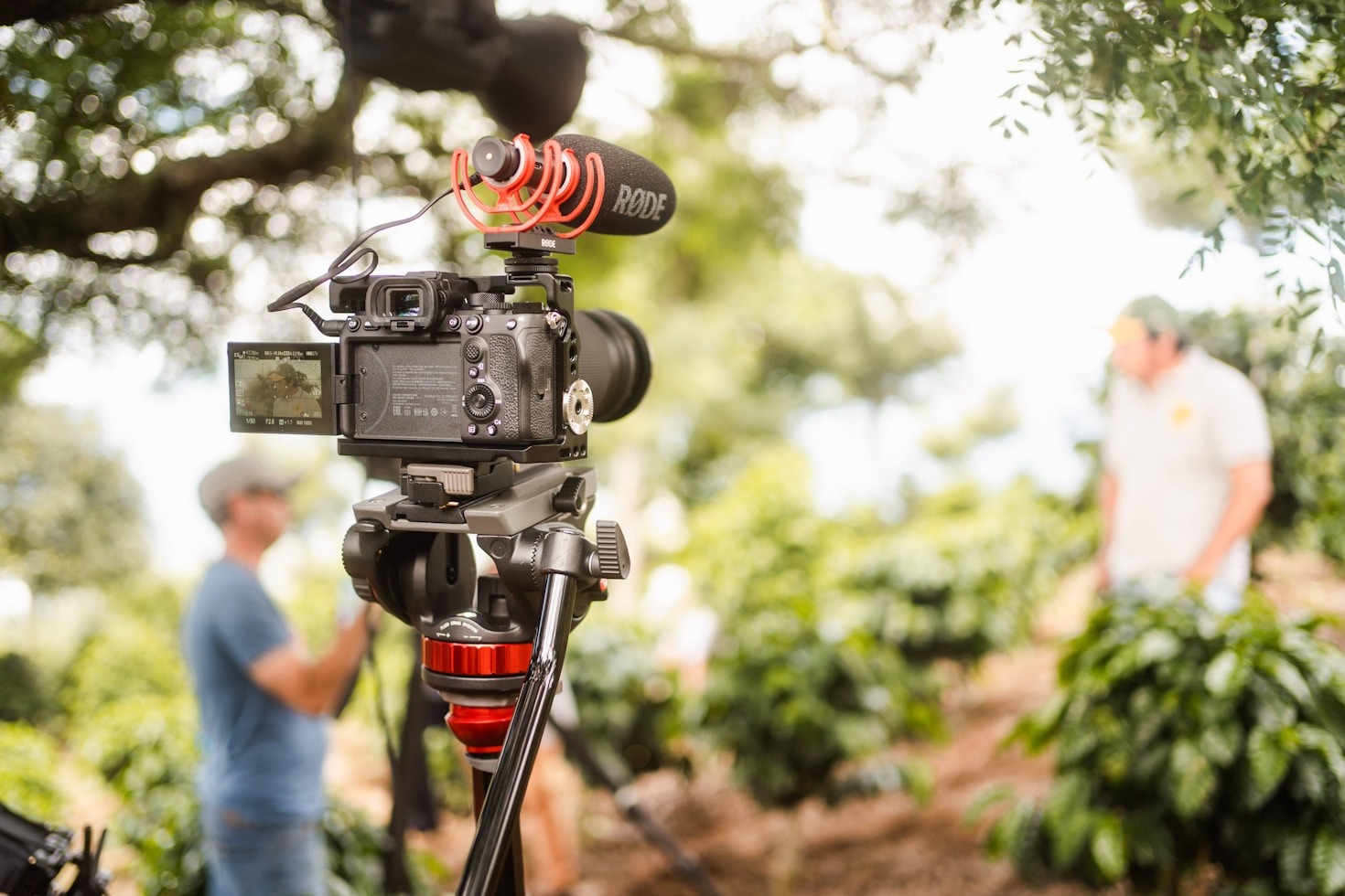La magia dei documentari: verità in movimento
